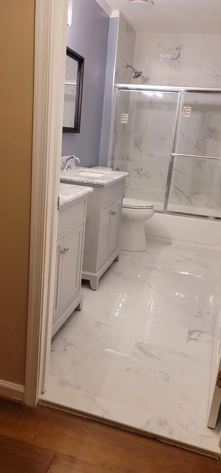Bathroom Remodel project